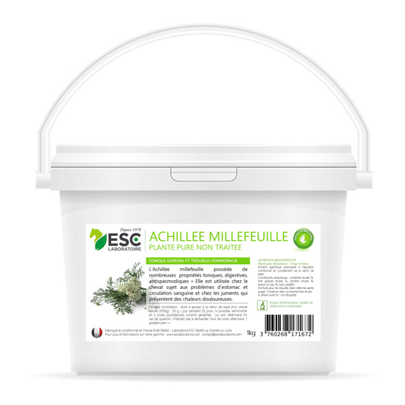 Achillee millefeuille – Troubles hormonaux et confort digestif cheval – Plante pure