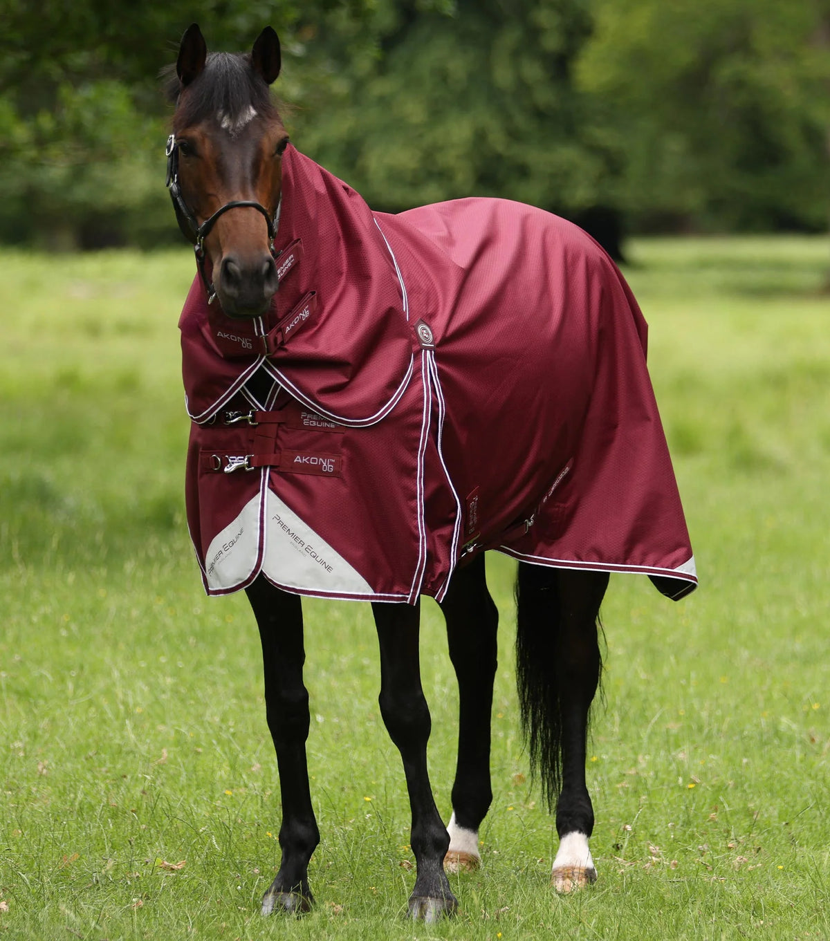 Couverture d’extérieur Akoni 0 g avec couvre-cou classique – Premier Equine