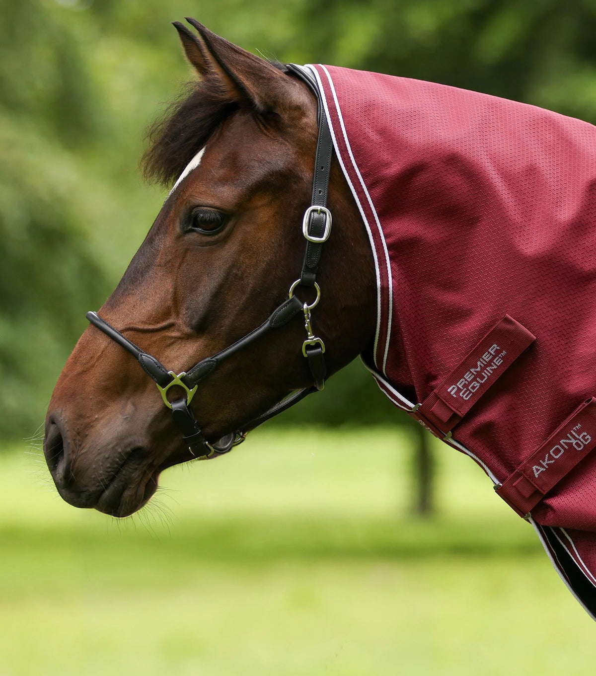 Couverture d’extérieur Akoni 0 g avec couvre-cou classique – Premier Equine