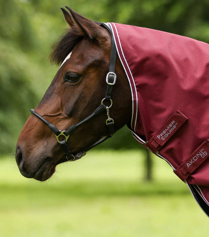 Couverture d’extérieur Akoni 0 g avec couvre-cou classique – Premier Equine
