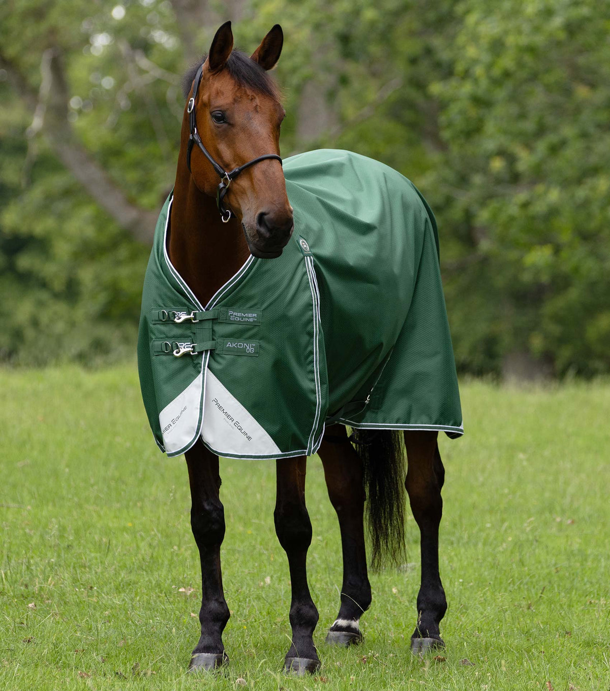 Couverture d’extérieur Akoni Original 0 g – Premier Equine