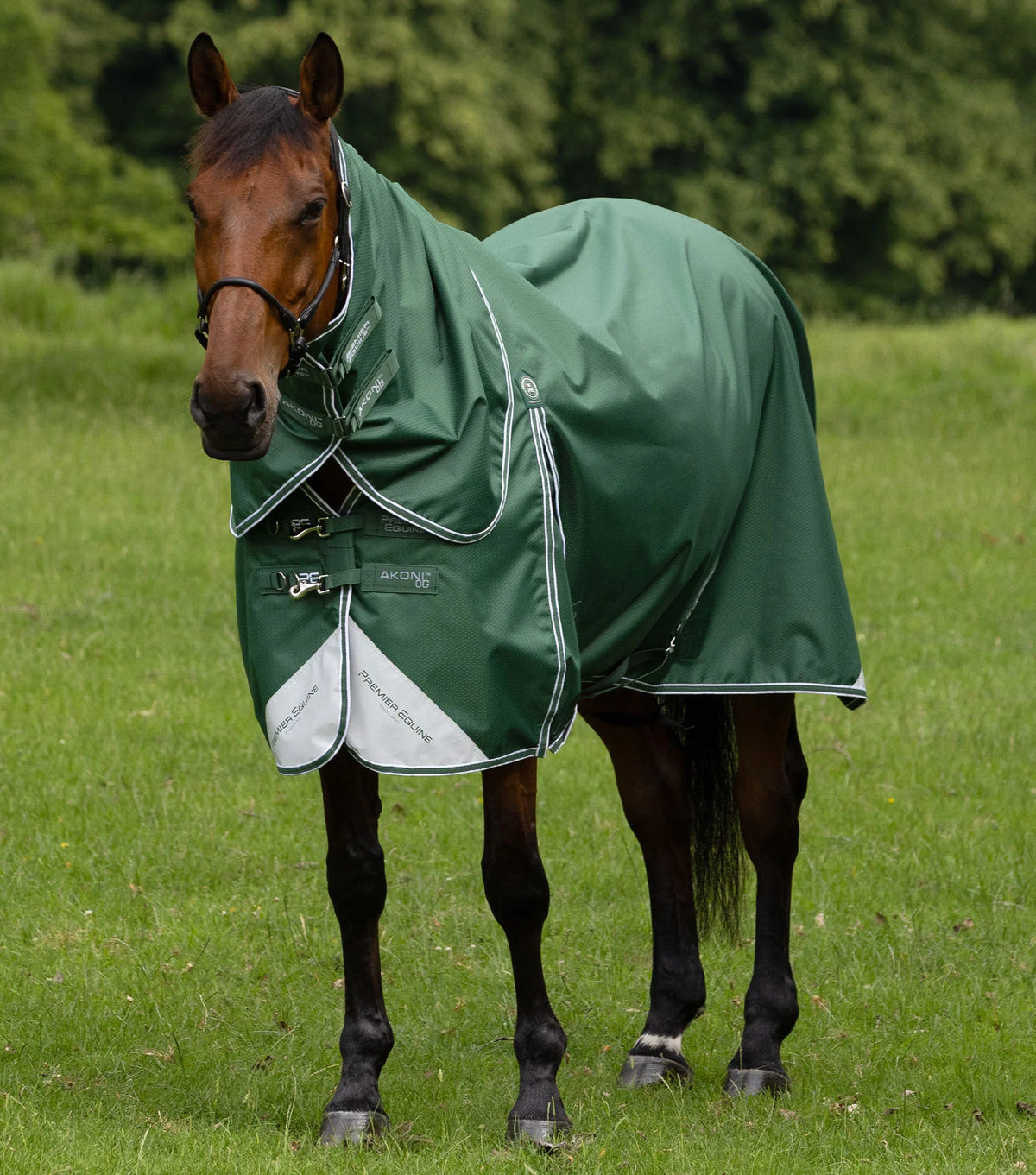 Couverture d’extérieur Akoni 0 g avec couvre-cou classique – Premier Equine