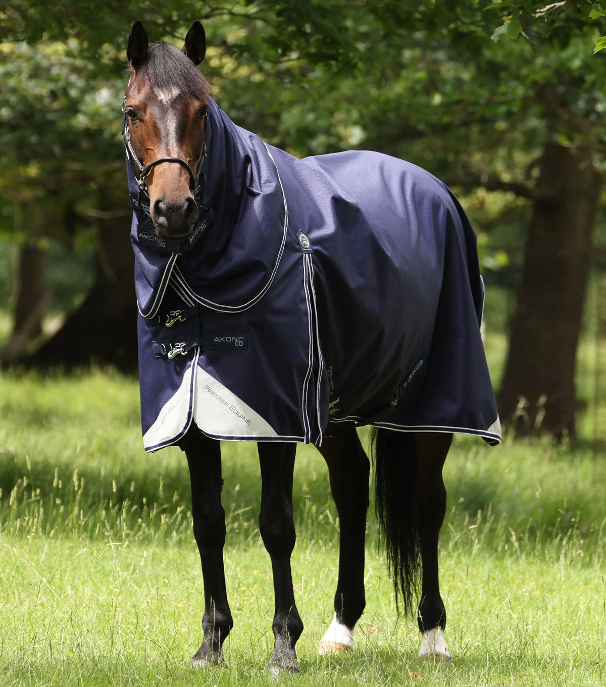 Couverture d’extérieur Akoni 0 g avec couvre-cou classique – Premier Equine