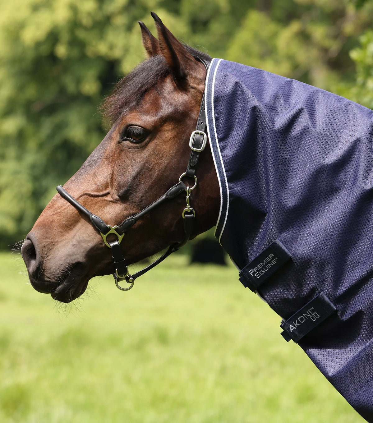 Couverture d’extérieur Akoni 0 g avec couvre-cou classique – Premier Equine