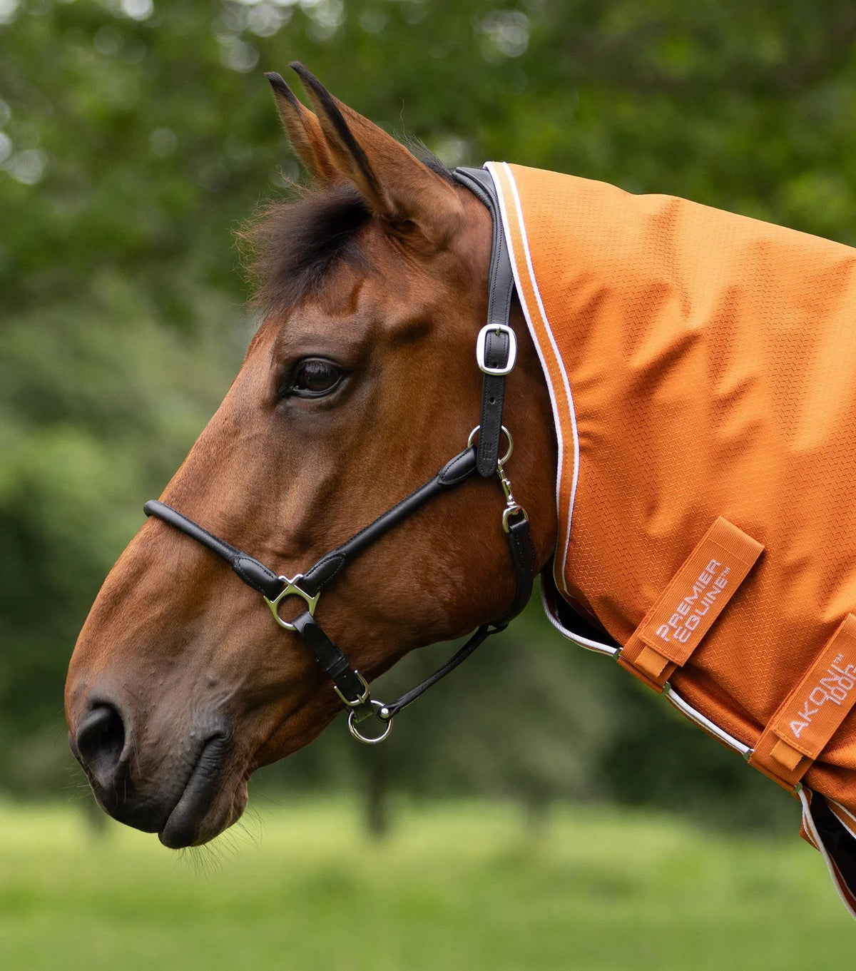 Couverture d’extérieur Akoni 100 g avec couvre-cou classique – Premier Equine