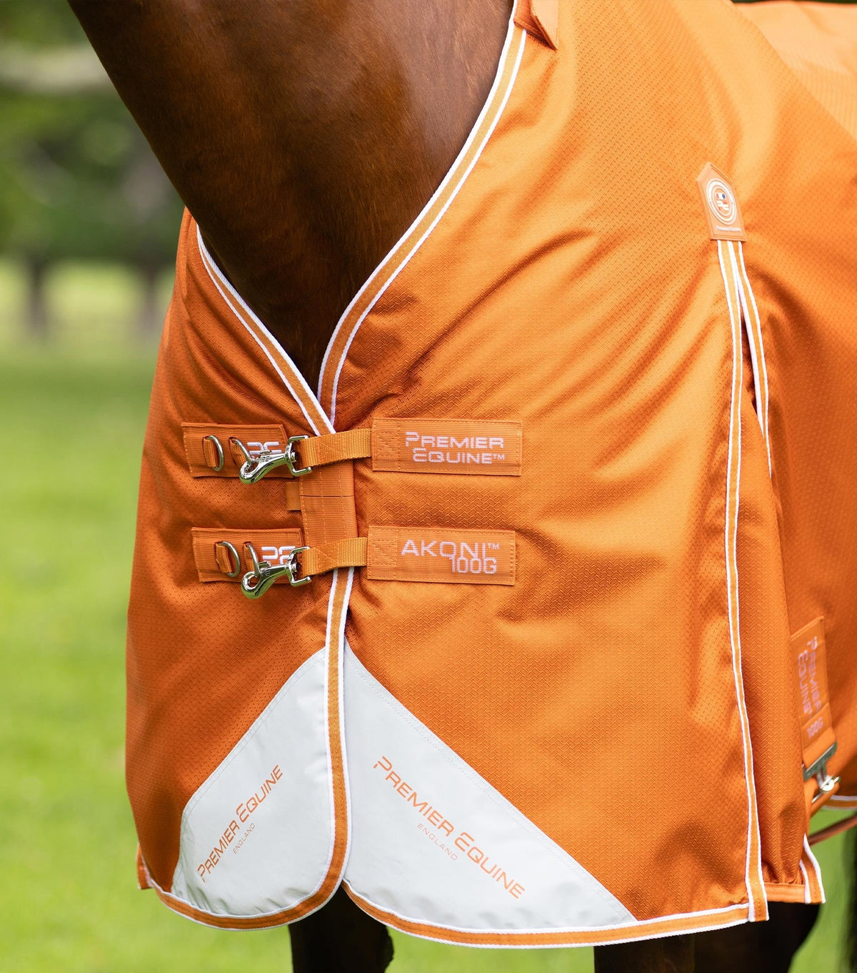 Couverture d’extérieur Akoni 100 g avec couvre-cou classique – Premier Equine