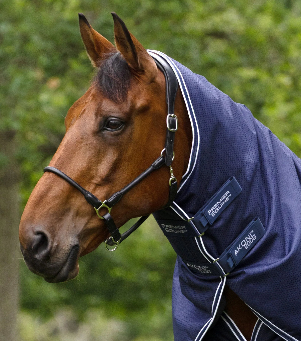 Couverture d’extérieur Akoni 200 g avec couvre-cou classique – Premier Equine