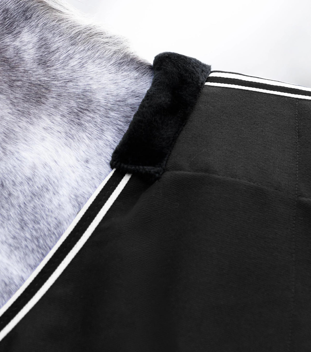 Chemise d’écurie Barrasso - 100% Coton – Premier Equine