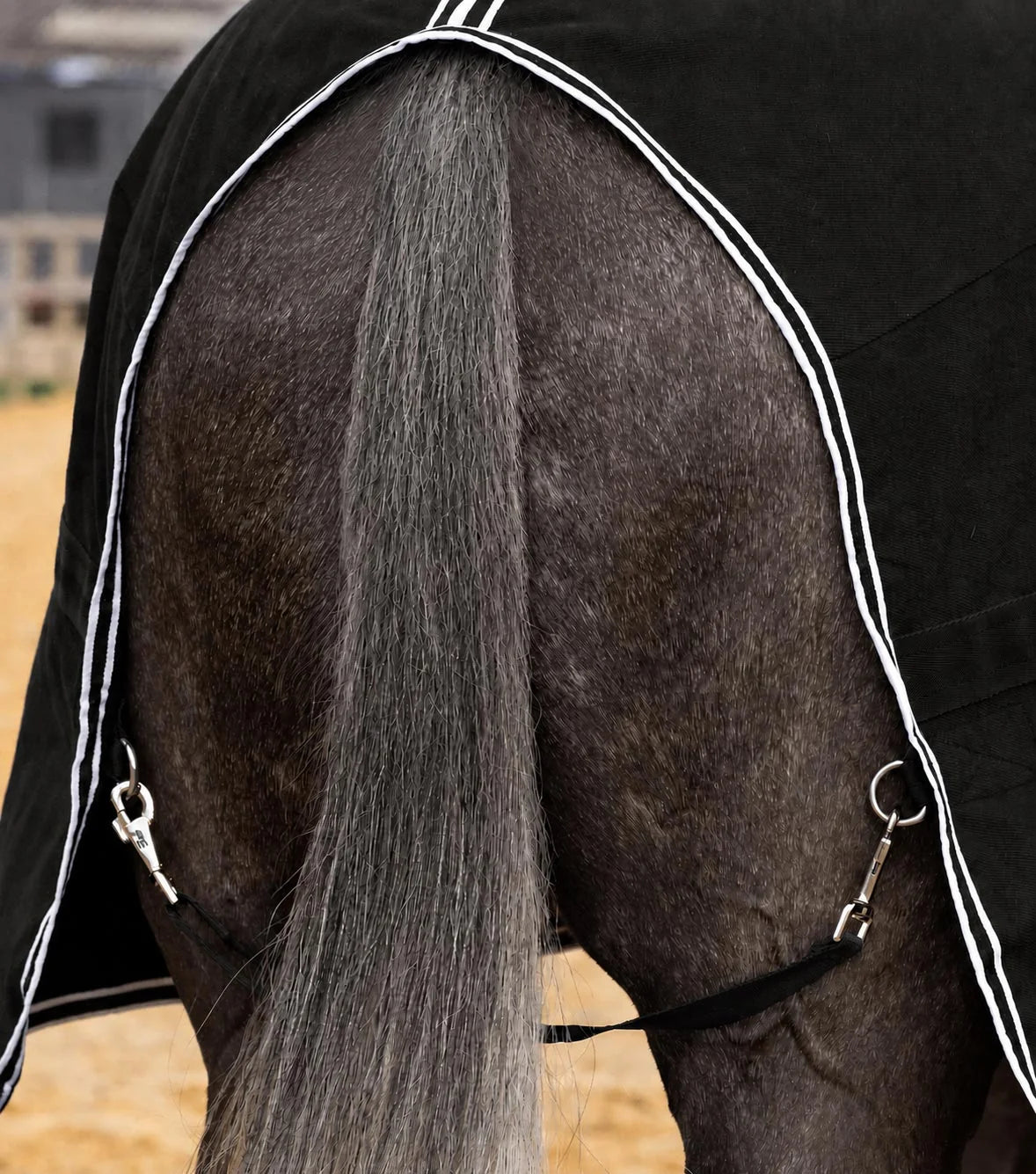 Chemise d’écurie Barrasso - 100% Coton – Premier Equine