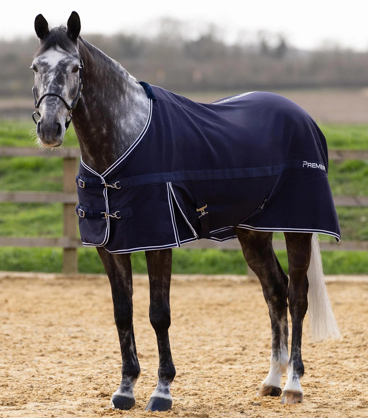 Chemise d’écurie Barrasso - 100% Coton – Premier Equine