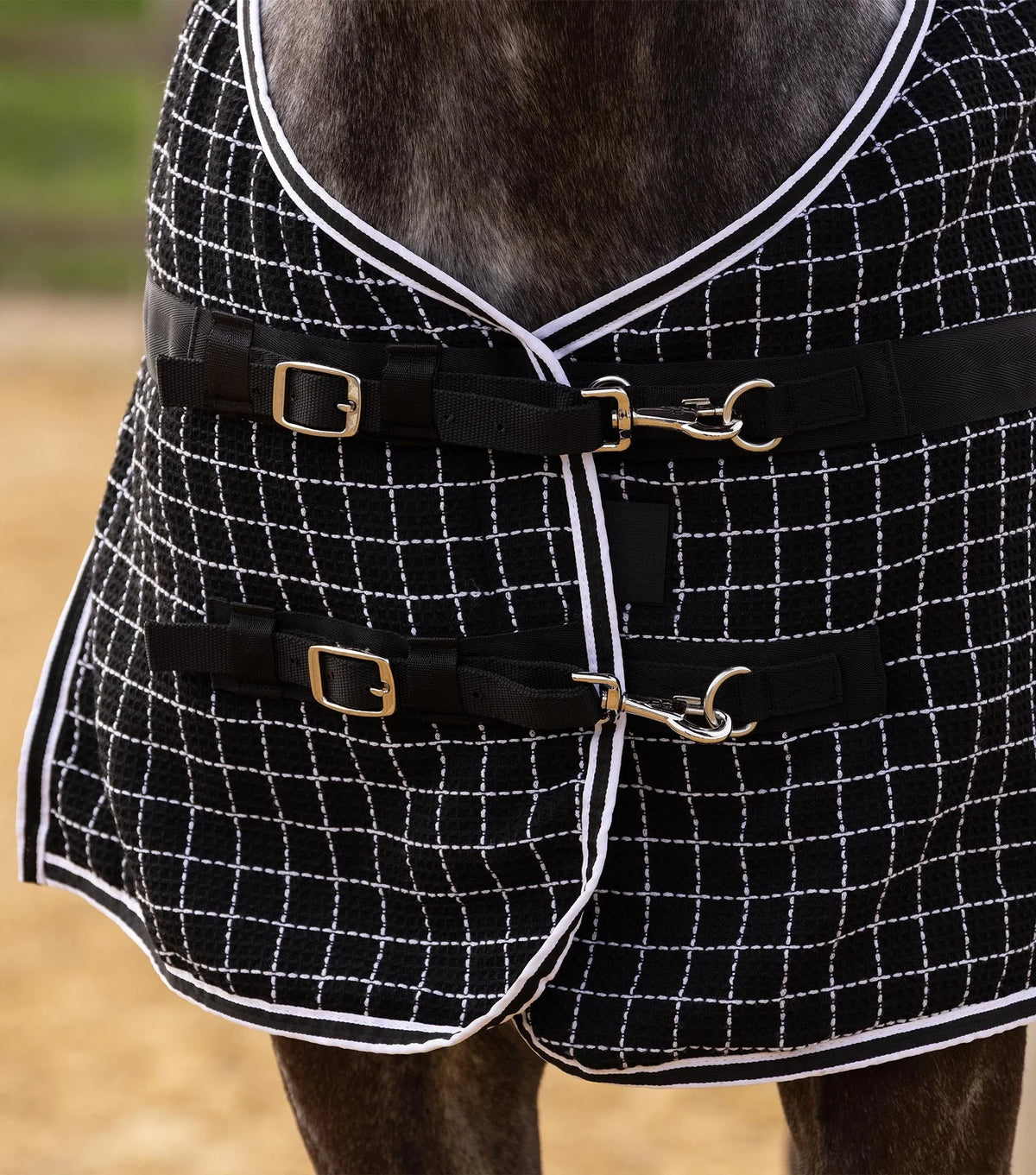 Chemise séchante nid d’abeille Barrasso - Coton – Premier Equine