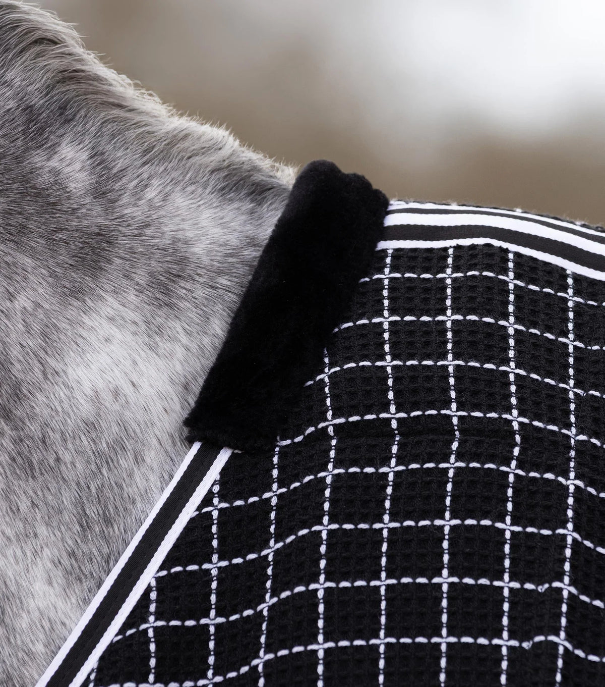 Chemise séchante nid d’abeille Barrasso - Coton – Premier Equine