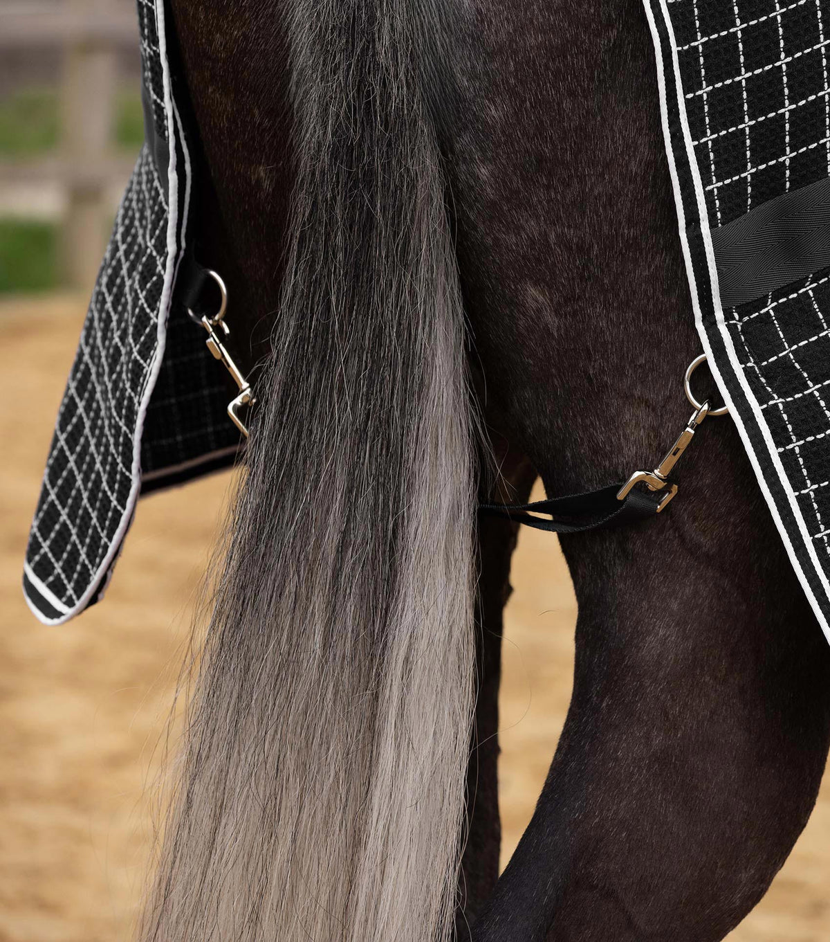 Chemise séchante nid d’abeille Barrasso - Coton – Premier Equine