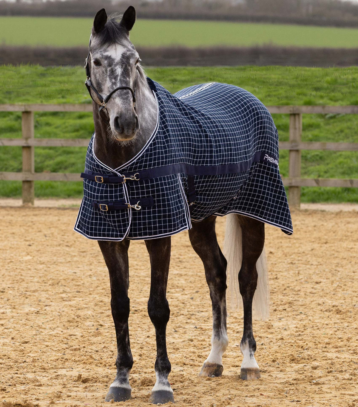 Chemise séchante nid d’abeille Barrasso - Coton – Premier Equine