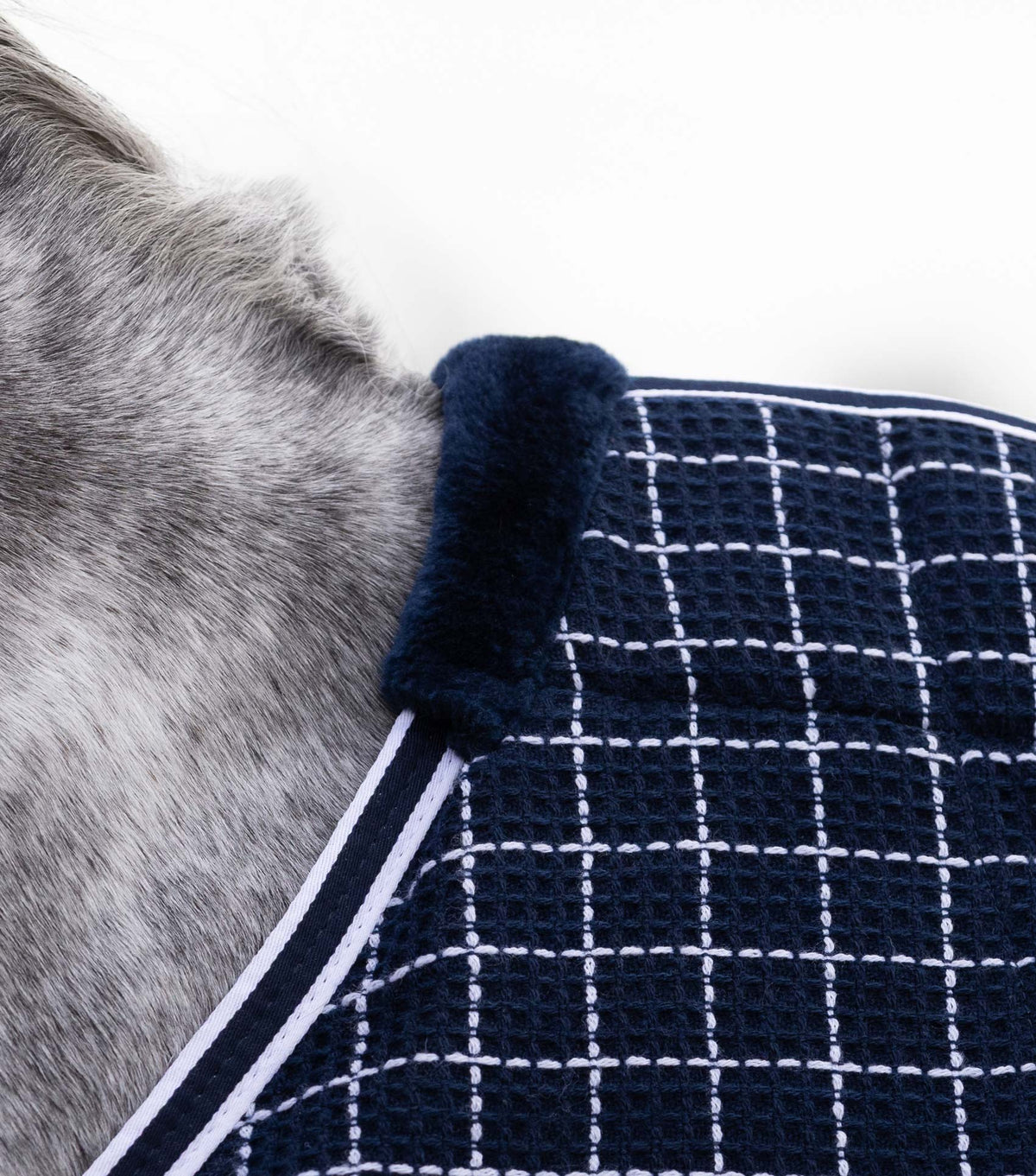 Chemise séchante nid d’abeille Barrasso - Coton – Premier Equine