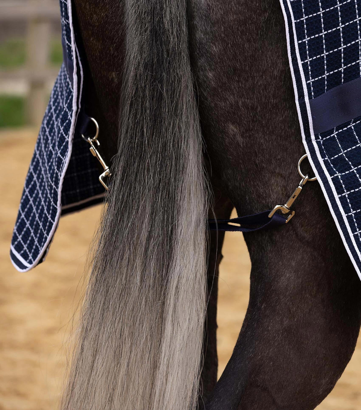 Chemise séchante nid d’abeille Barrasso - Coton – Premier Equine
