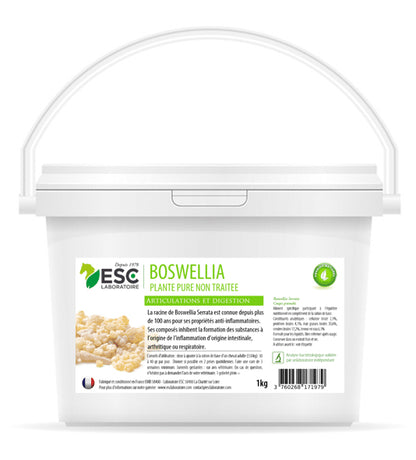 Boswellia Serrata cheval – Soulagement naturel articulations et respiration | ESC