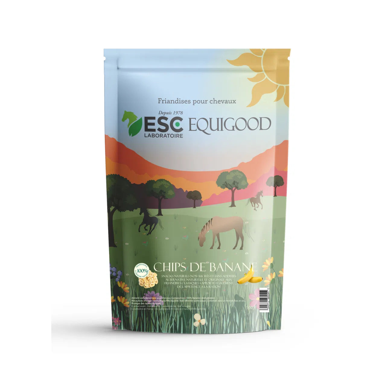 Chips Banane – Friandises Naturelles Cheval Sans Sucres - ESC