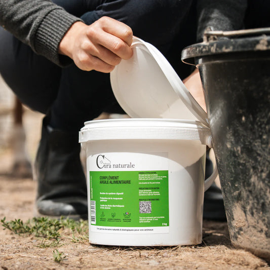 Argile alimentaire - Cura Naturale