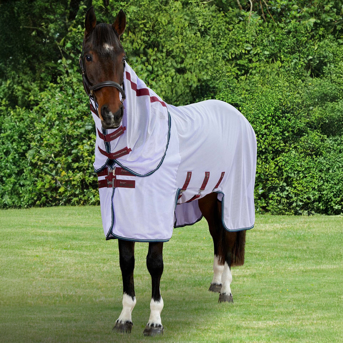 Couverture anti-mouches Bug Buster Premier Equine – Protection UV et insectes pour cheval