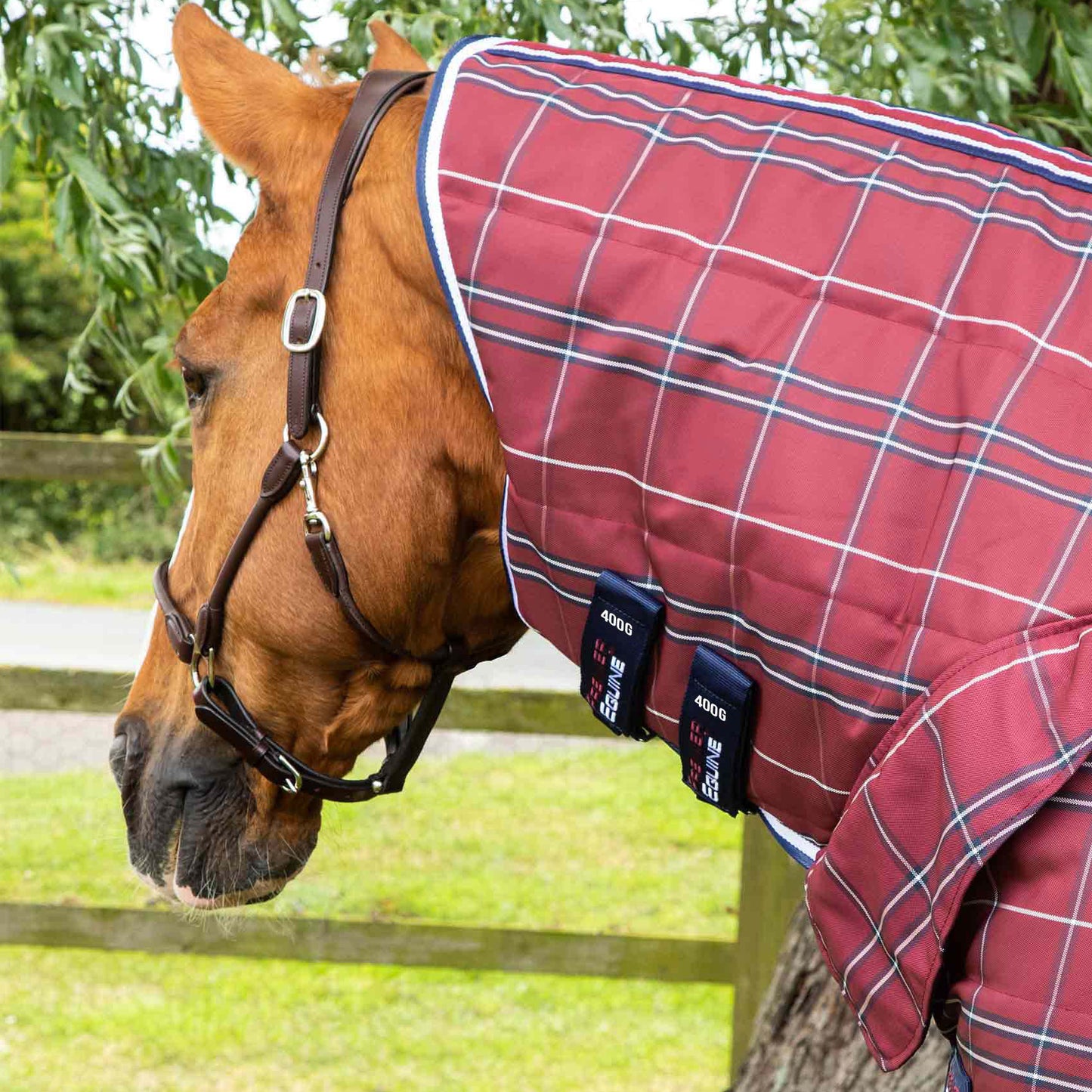 Couverture d’Écurie Domus 400g avec Couvre-Cou Intégré | Premier Equine Polypropylène 1200D