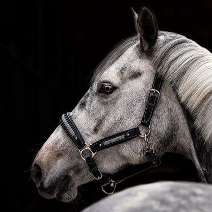 Licol cuir Epona - Olympea