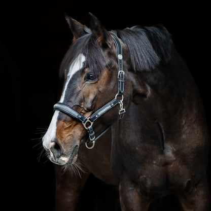 Licol cuir Epona - Olympea