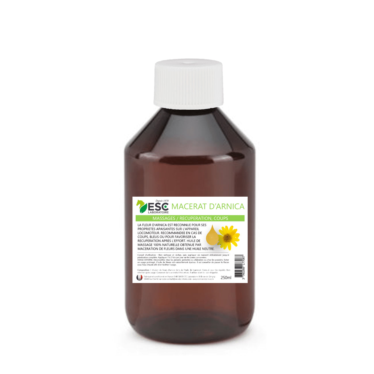 Macérat d’Arnica pour cheval – Soin naturel pour récupération musculaire | ESC