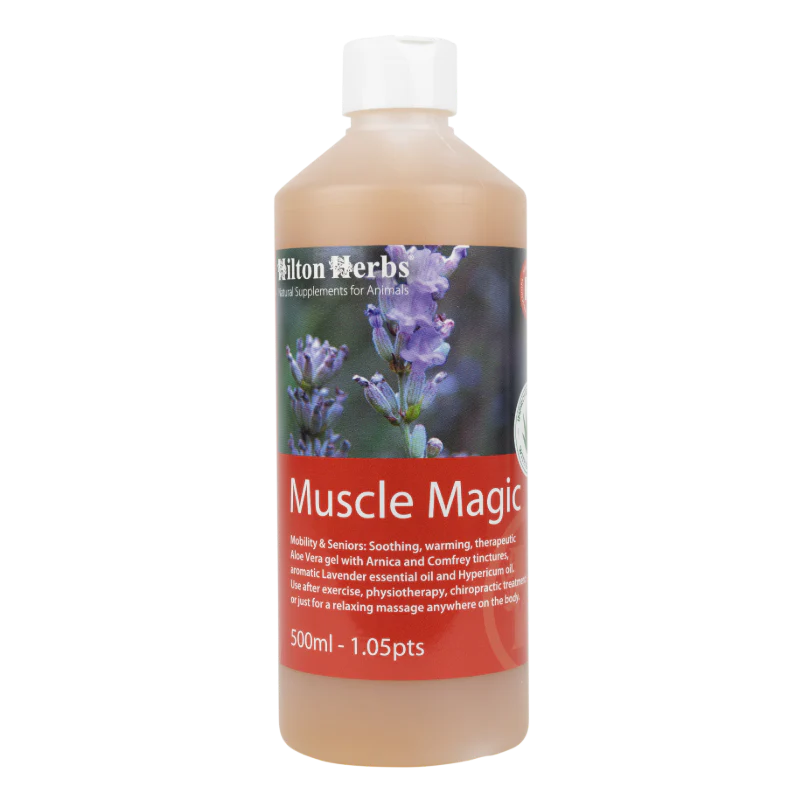 Muscle Magic – Gel apaisant muscles pour chevaux et chiens - Hilton Herbs