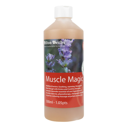Muscle Magic – Gel apaisant muscles pour chevaux et chiens - Hilton Herbs
