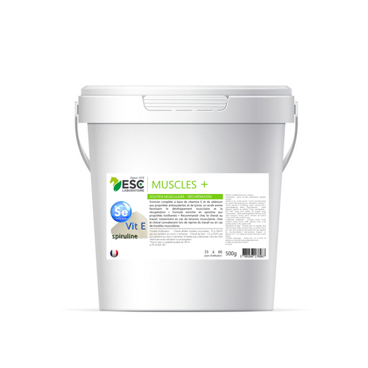 Complément musculaire naturel MUSCLE+ ESC pour chevaux – seau 500 g, Vitamine E, lysine, spiruline, soutien récupération et performance. 