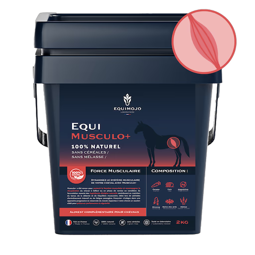 Equi-Musculo+ – Complément naturel pour force et récupération musculaire cheval - Equimojo