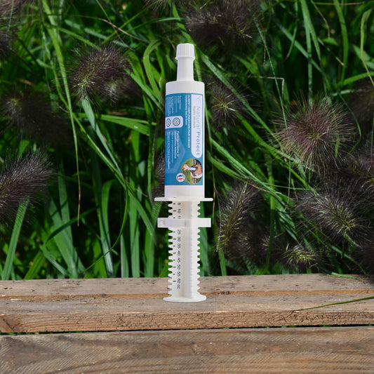 Natural'Protect Natural Innov – Complexe d’Huiles Naturelles Anti-Parasites Intestinaux pour Chevaux