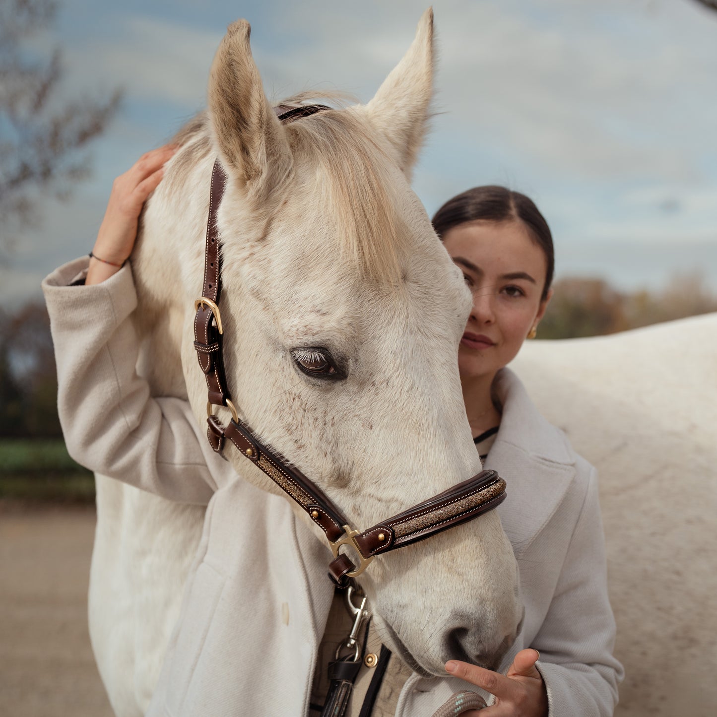 Licol cuir Epona - Olympea