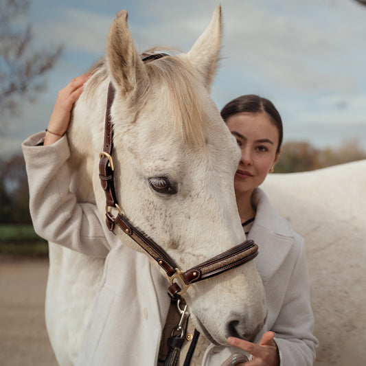 Licol cuir Epona - Olympea