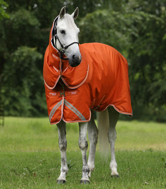 Couverture d’extérieur Stratus Series 600D 200 g avec couvre-cou classique - Premier Equine