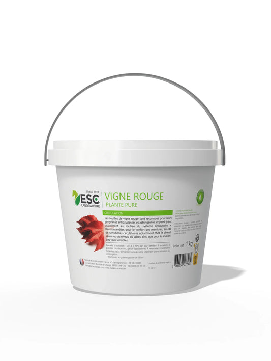 VIGNE ROUGE – Soutien de la circulation - ESC Laboratoire