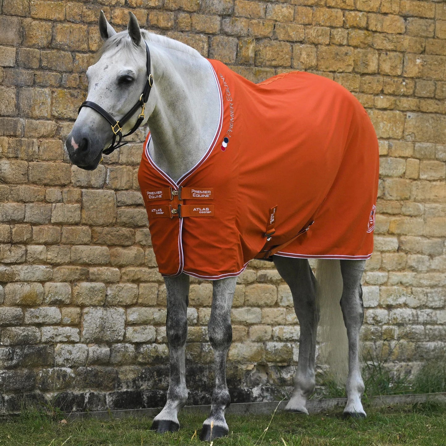 Couverture séchante Atlas - Premier Equine