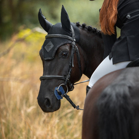 Bonnet Oxxer Diamant Anti-Bruit porté sur cheval – oreilles néoprène anti-bruit