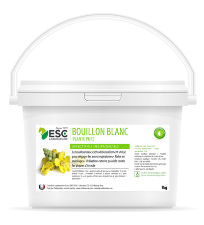 Bouillon Blanc – Irritation et encombrement des bronches cheval – Plante pure