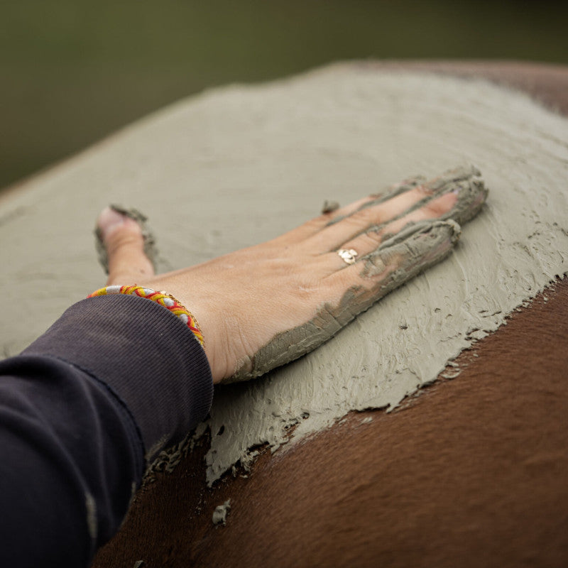 Cataplasme d'Argile Verte Cheval – Soulagement Douleurs Musculaires & Arthrose – Nellumbo