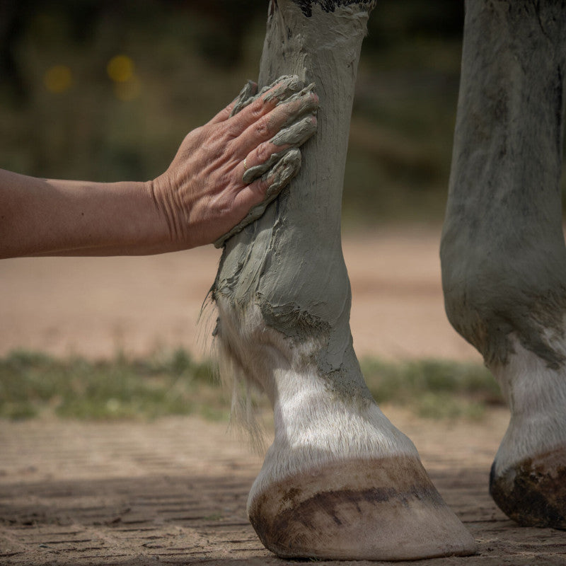 Cataplasme d'Argile Verte Cheval – Drainage, Circulation & Détox – Nellumbo