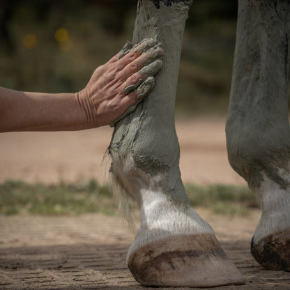 Cataplasme d'Argile Verte Cheval – Drainage, Circulation & Détox – Nellumbo