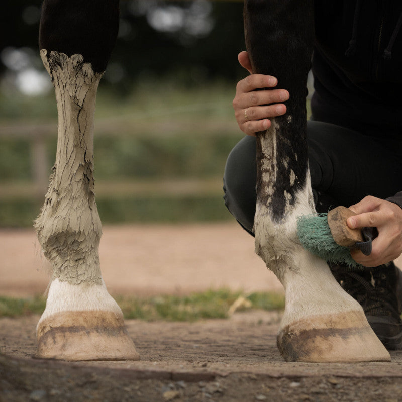 Cataplasme d'Argile Verte Cheval – Drainage, Circulation & Détox – Nellumbo
