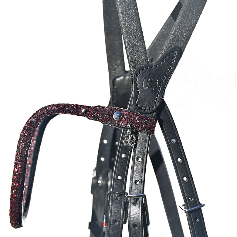 Bridon Evolution IHWT Contact Frontal Disco – Confort et Maintien Optimal pour Chevaux