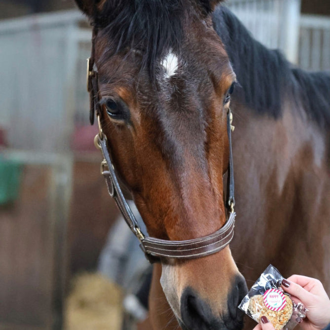 Coeur de crackers – Friandise naturelle pour cheval - Happy Crackers