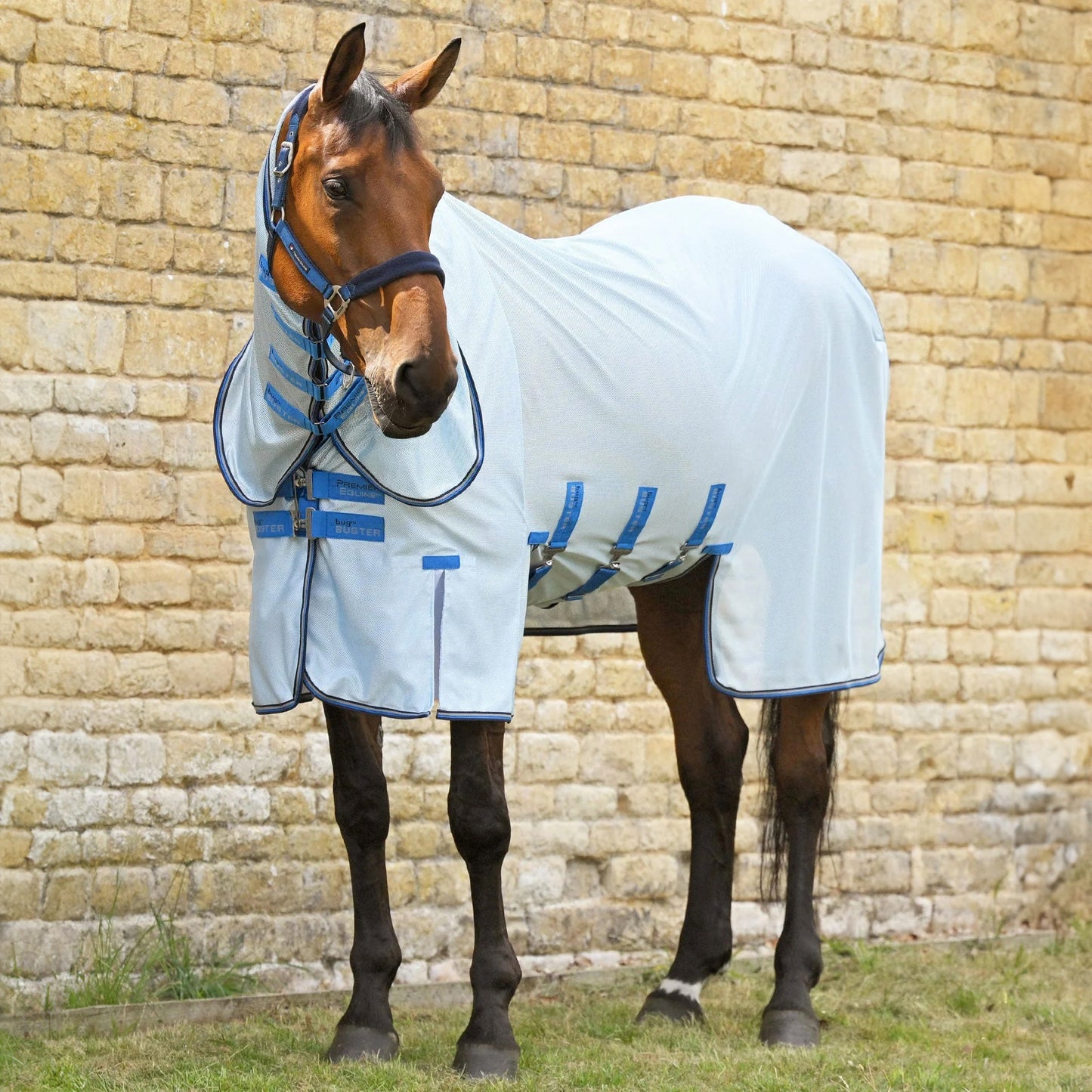 Couverture anti-mouches Bug Buster Combo Premier Equine – Protection UV et insectes pour cheval