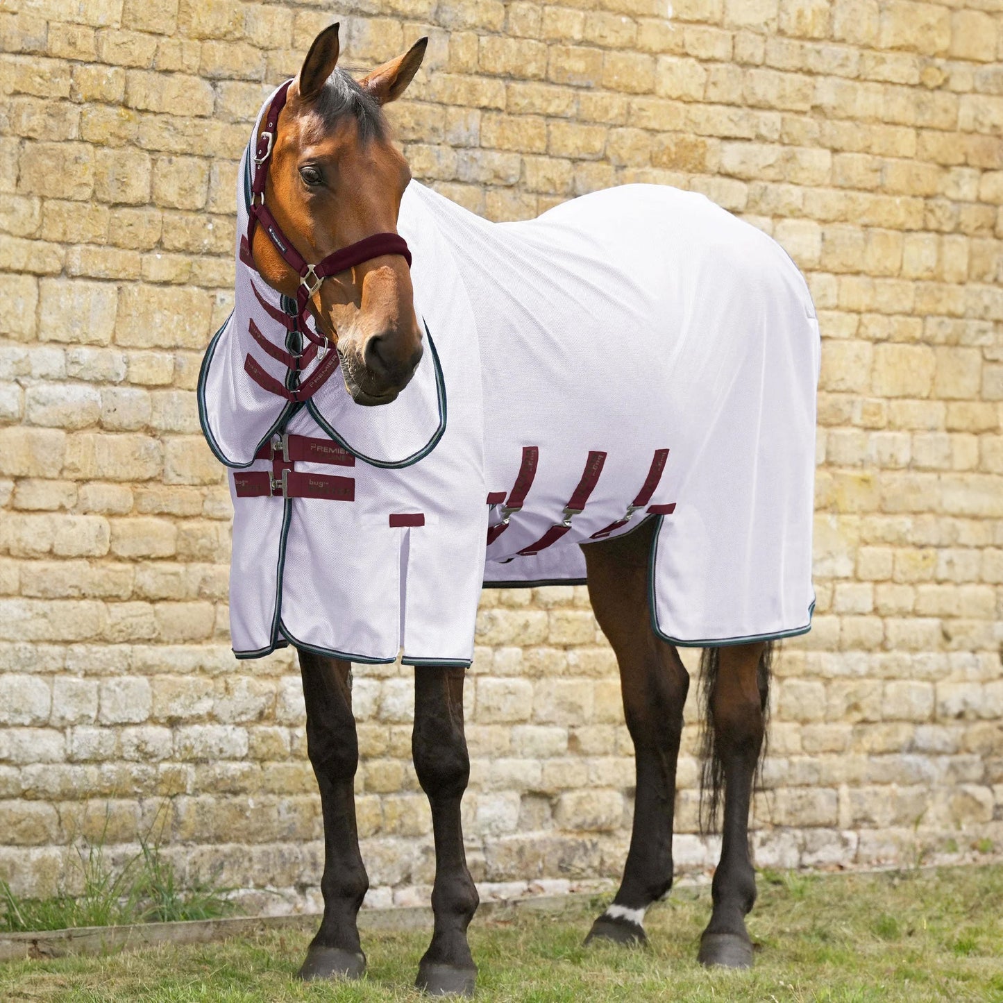 Couverture anti-mouches Bug Buster Combo Premier Equine – Protection UV et insectes pour cheval