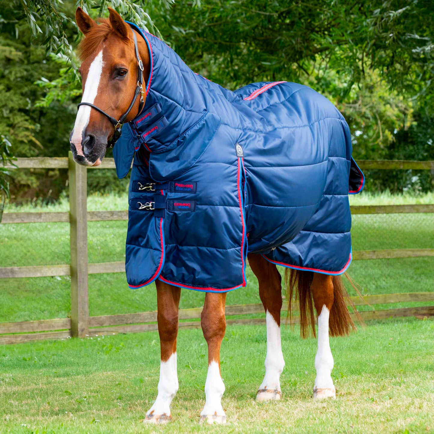 Couverture d’Écurie Combo 200g avec Couvre-Cou | Premier Equine Polyester 420D