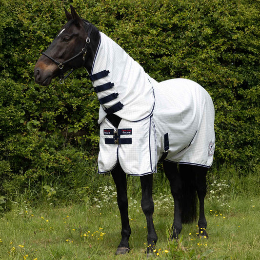 Chemise d’écurie coton Cotone Combo